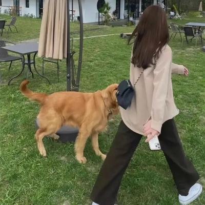 东柏林现场
